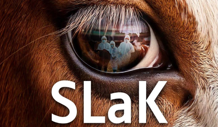 Fotka - SLaK